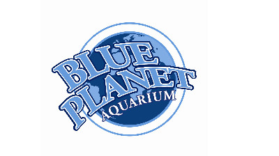 Blue Planet Aquarium.