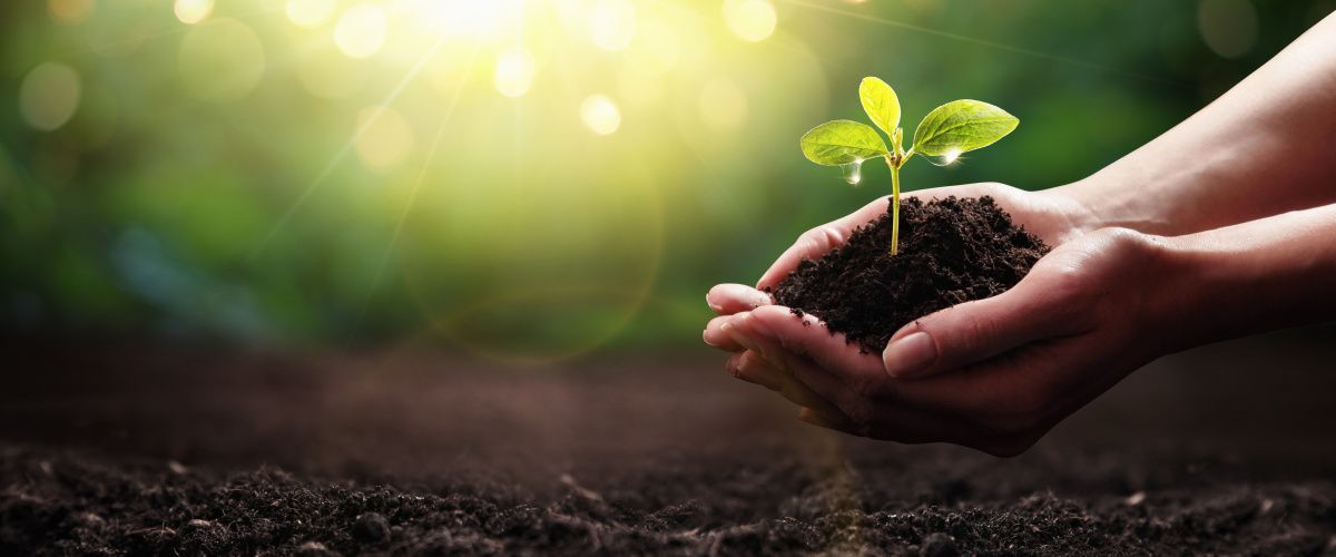 Warrington sustainability